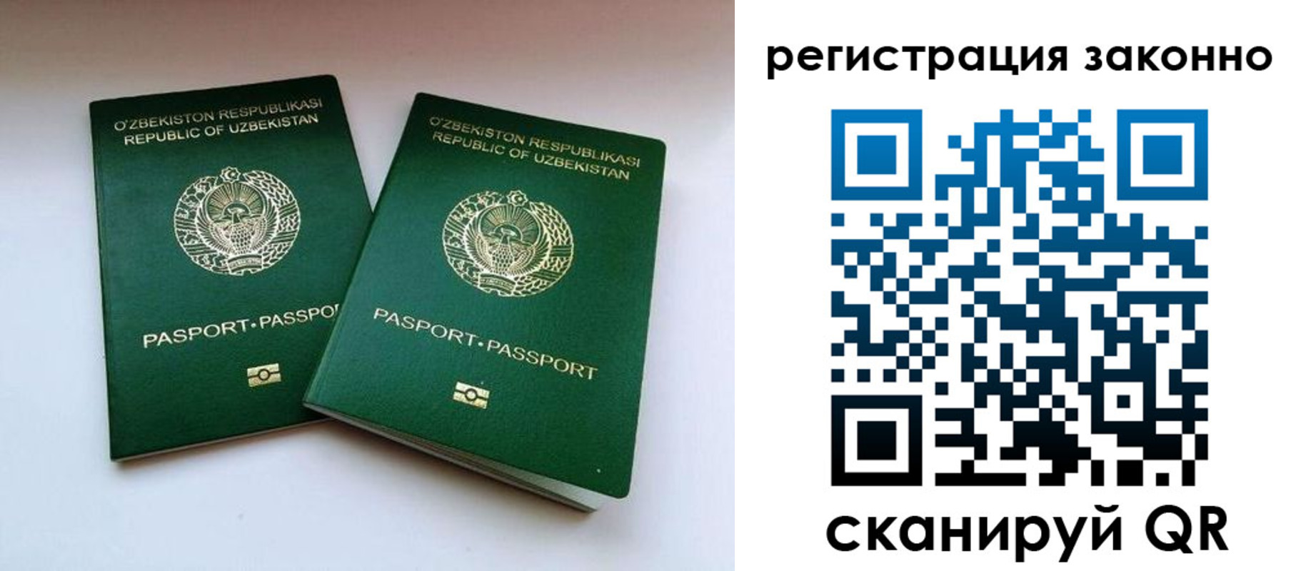 прописка гарантия в Козловке